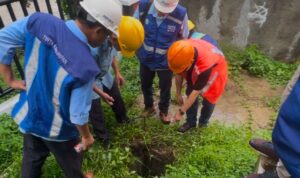 WhatsApp Image 2025-01-23 at 07.41.51